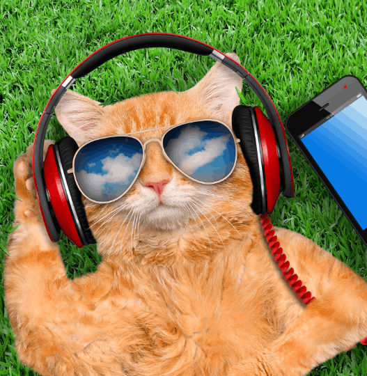 Maximilian Becker — Online-Casino-Redakteur bei Spins of Glory